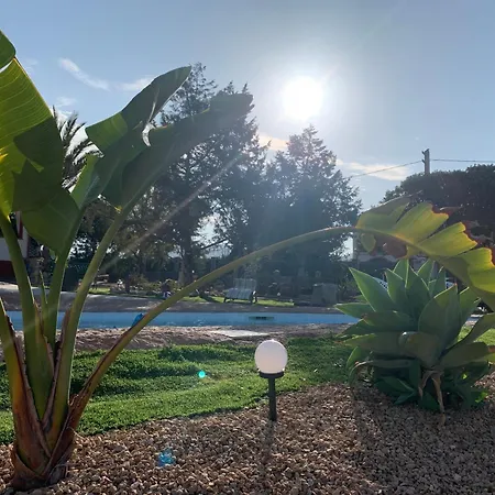 The Poolside Gem * Sant Isidoro (Sardinia)