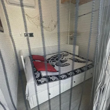 The Poolside Gem Apartment *