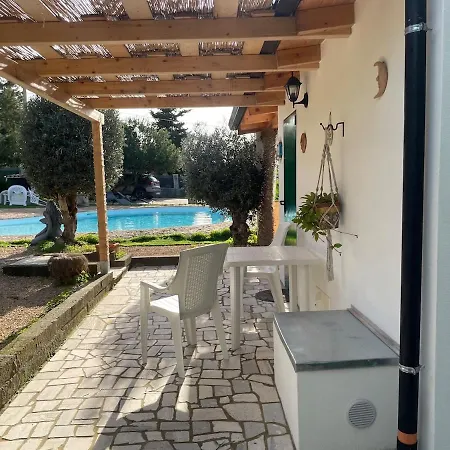 The Poolside Gem شقة