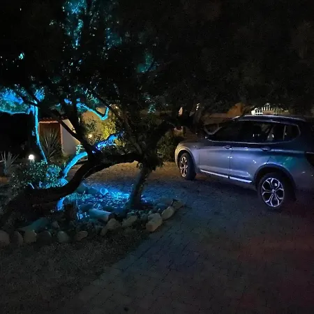 The Poolside Gem Apartment *